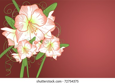 Background with amarillis
