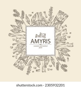 Background with amyris: amyris plant, leaves and amyris wood. Cosmetic, perfumery and medical plant. Vector hand drawn illustration