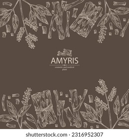 Background with amyris: amyris plant, leaves and amyris wood. Cosmetic, perfumery and medical plant. Vector hand drawn illustration