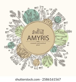 Background with amyris: amyris plant, leaves and amyris wood. Cosmetic, perfumery and medical plant. Vector hand drawn illustration