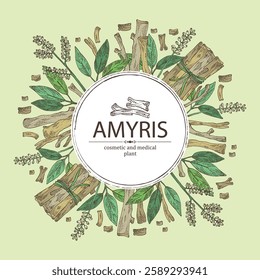 Background with amyris: amyris plant, leaves and amyris wood. Cosmetic, perfumery and medical plant. Vector hand drawn illustration