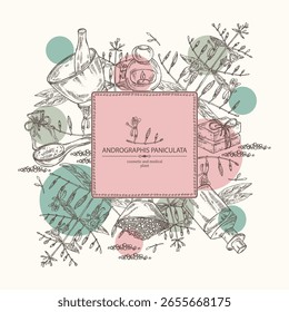 Background with andrographis paniculata: andrographis paniculata plant, leaves and andrographis paniculata flowers. Oil, soap and bath salt . Cosmetics and medical plant. Vector hand drawn