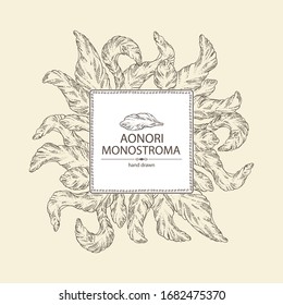 Background with aonori: aonori seaweed, sea kale. Monostroma. Green algae. Edible seaweed. Vector hand drawn illustration.