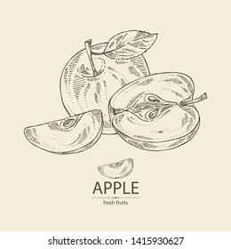 Background with apples: fruit, leaves and apple slice. Vector hand drawn illustration.