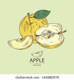 Background with apples: fruit, leaves and apple slice. Vector hand drawn illustration.