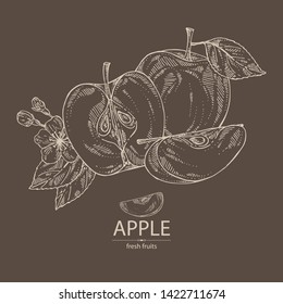 Background with apples: fruit, leaves and apple slice. Vector hand drawn illustration.