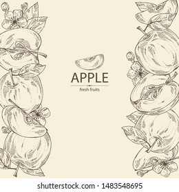 Background with apples: fruit, leaves and apple slice. Vector hand drawn illustration.