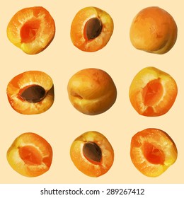 Background with apricot. Hand drawn background. Vector illustration.