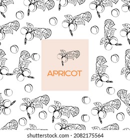 Background with apricot on a white background. Vector hand-drawn illustration