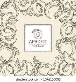 Background with apricot and apricot slice. Vector hand drawn illustration