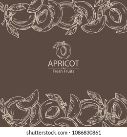 Background with apricot and apricot slice. Vector hand drawn illustration