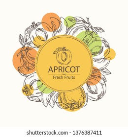 Background with apricot and apricot slice. Vector hand drawn illustration 