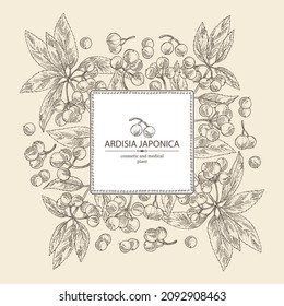 Background with ardisia japonica: leaves, ardisia japonicaberries and ardisia plant. Oregano. Herbs and spices. Cosmetic, perfumery and medical plant. Vector hand drawn illustration.