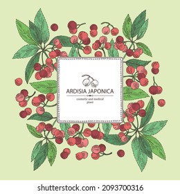 Background with ardisia japonica: leaves, ardisia japonicaberries and ardisia plant. Oregano. Herbs and spices. Cosmetic, perfumery and medical plant. Vector hand drawn illustration.