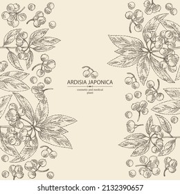 Background with ardisia japonica: leaves, ardisia japonicaberries and ardisia plant. Cosmetic, perfumery and medical plant. Vector hand drawn illustration.