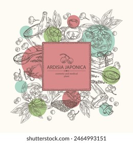 Background with ardisia japonica: leaves, ardisia japonicaberries and ardisia plant.  Oil, soap and bath salt . Cosmetics and medical plant. Vector hand drawn illustration