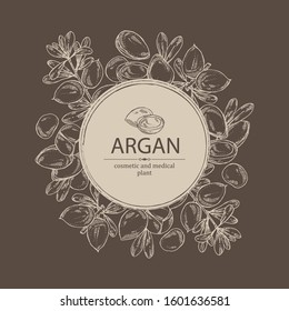 Background with argan: leaves and argan nuts. Cosmetic and medical plant. Vector hand drawn illustration. 