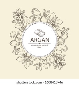 Background with argan: leaves and argan nuts. Cosmetic and medical plant. Vector hand drawn illustration. 