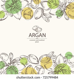 Background With Argan: Leaves And Argan Nuts. Cosmetic And Medical Plant. Vector Hand Drawn Illustration. 