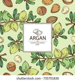Background with argan: leaves and argan nuts. Cosmetic and medical plant. Vector hand drawn illustration. 