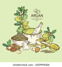 Background with argan: leaves and argan nuts.. Oil, soap and bath salt . Cosmetics and medical plant. Vector hand drawn illustration