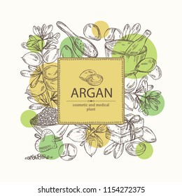 Background with argan: leaves and argan nuts.. Oil, soap and bath salt . Cosmetics and medical plant. Vector hand drawn illustration