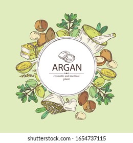 Background with argan: leaves and argan nuts.. Oil, soap and bath salt . Cosmetics and medical plant. Vector hand drawn illustration