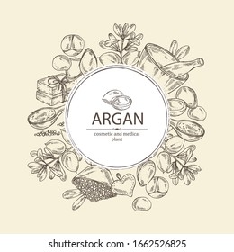 Background with argan: leaves and argan nuts. Oil, soap and bath salt . Cosmetics and medical plant. Vector hand drawn illustration