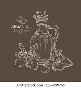 Background with argan: argan nuts and bottle of argan oil. Vector hand drawn 