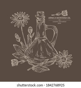 Background With Arnica Montana Flower And Bottle Of Arnica Oil. Vector Hand Drawn Illustration