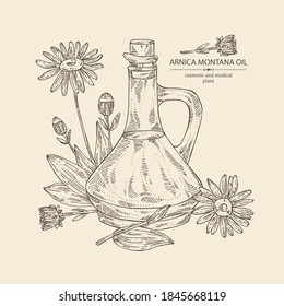 Background With Arnica Montana Flower And Bottle Of Arnica Oil. Vector Hand Drawn Illustration