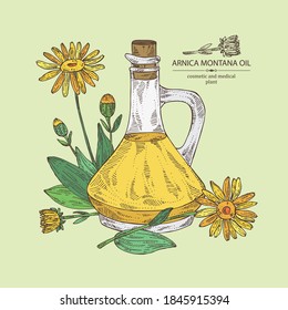 Background With Arnica Montana Flower And Bottle Of Arnica Oil. Vector Hand Drawn Illustration