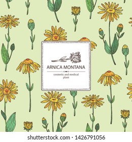 Background with arnica montana: arnica flower and leaves. Cosmetic and medical plant. Vector hand drawn illustration