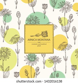 Background with arnica montana: arnica flower and leaves. Cosmetic and medical plant. Vector hand drawn illustration