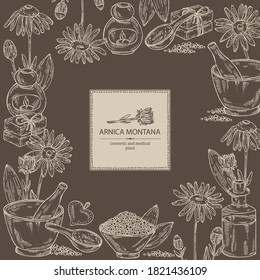 Background with arnica montana, arnica flower and leaves, soap and bath salt . Cosmetic and medical plant. Vector hand drawn illustration. 