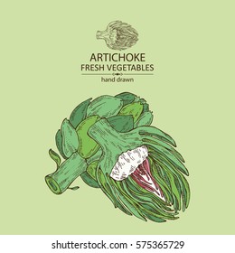 Background with artichoke. hand drawn.