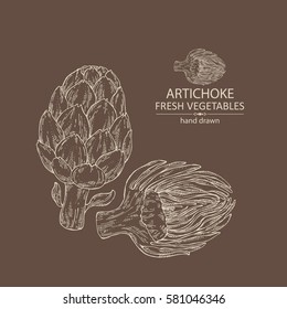 Background with artichoke. hand drawn