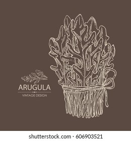 Background with arugula: bunch of arugula. Hand drawn.