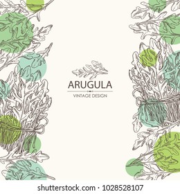 Background with arugula and bunch of arugula. Vector hand drawn illustration.