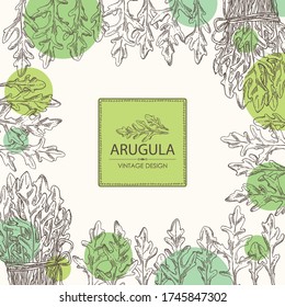 Background with arugula and bunch of arugula. Vector hand drawn illustration.