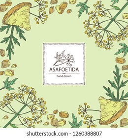 Background with asafoetida: plant, asafoetida powder flowers and asafoetida leaves. Asfedida. Vector hand drawn illustration.