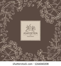 Background with asafoetida: plant, asafoetida powder flowers and asafoetida leaves. Asfedida. Vector hand drawn illustration.