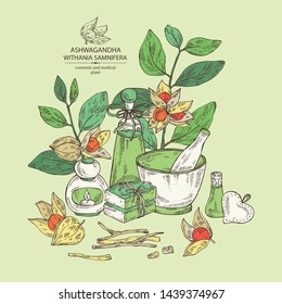 Background with ashwagandha: ashwagandha branch, root, berries, soap and bath salt . Withania somnifera. Cosmetic and medical plant. Vector hand drawn illustration