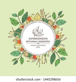 Background with ashwagandha: branch, root and berries of withania somnifera . Cosmetic and medical plant. Vector hand drawn illustration.