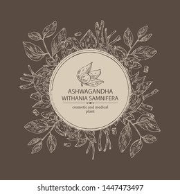 Background with ashwagandha: branch, root and berries of withania somnifera . Cosmetic and medical plant. Vector hand drawn illustration.