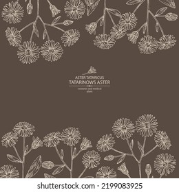 Background with aster tataricus: aster tataricus plant, leaves and aster tataricus flowers. Tatarinow's aster. Cosmetic, perfumery and medical plant. Vector hand drawn illustrat