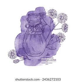 Background with  aster tataricus: plant, leaves and aster tataricus flowers and bottle of aster tataricus essential oil. Tatarinow's aster. Cosmetic, perfumery and medical plant. Vector han drawn