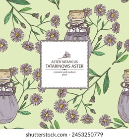 Background with  aster tataricus: plant, leaves and aster tataricus flowers and bottle of aster tataricus essential oil. Tatarinow's aster. Cosmetic, perfumery and medical plant. Vector han