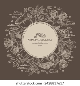 Background with atraktylodes large: plant, leaves, atraktylodes large root and atractylodes lancea flowers. Cosmetic and medical plant. Vector hand drawn illustration