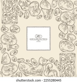 Background with auricularia polytricha: piece of auricularia mushroom, auricularia polytricha mushrooms. Vector hand drawn mushroom illustrations
